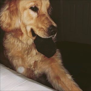 Meet your Posher, Ben